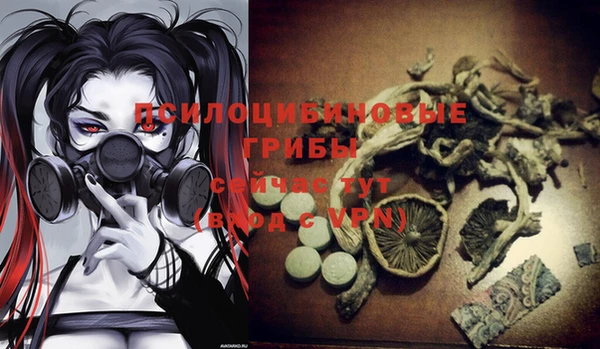 МДМА Абаза