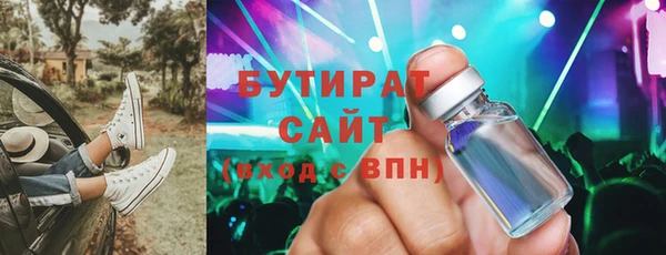 индика Гатчина